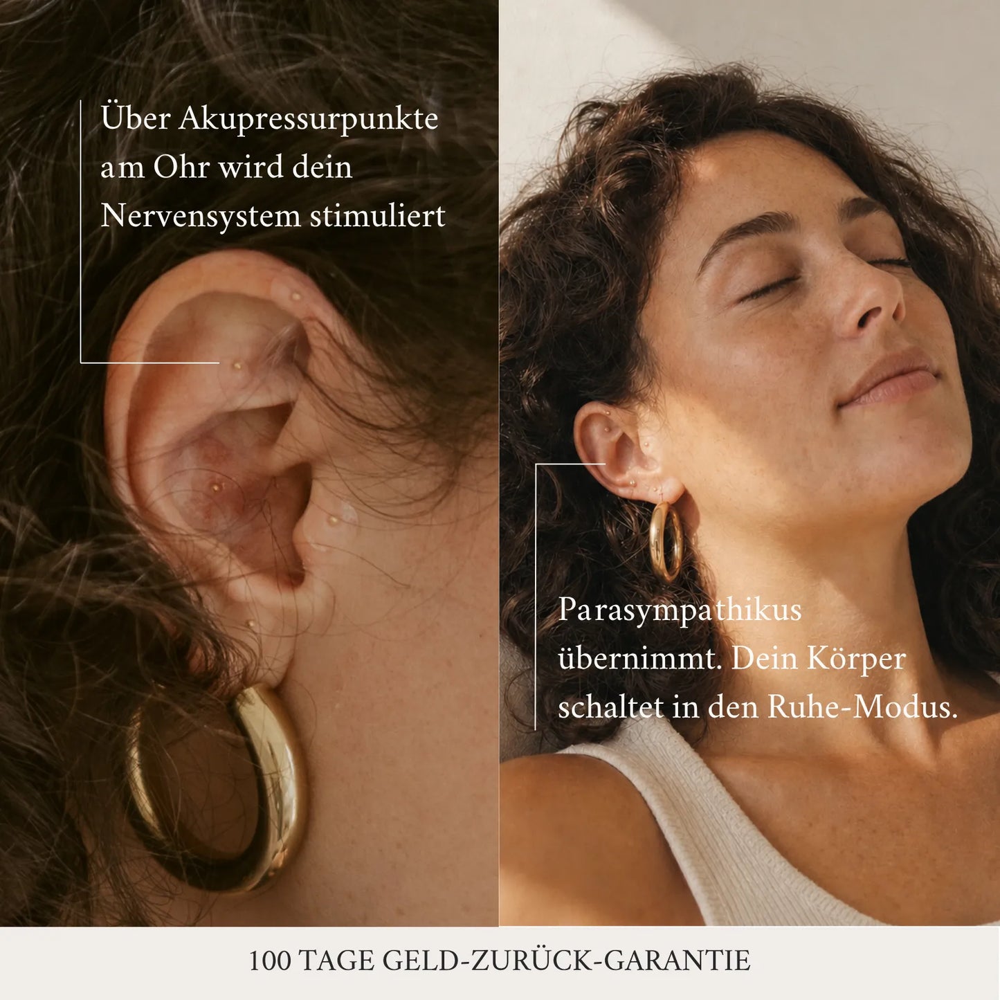 Sommer Starter Set - Gold Ear Seeds
